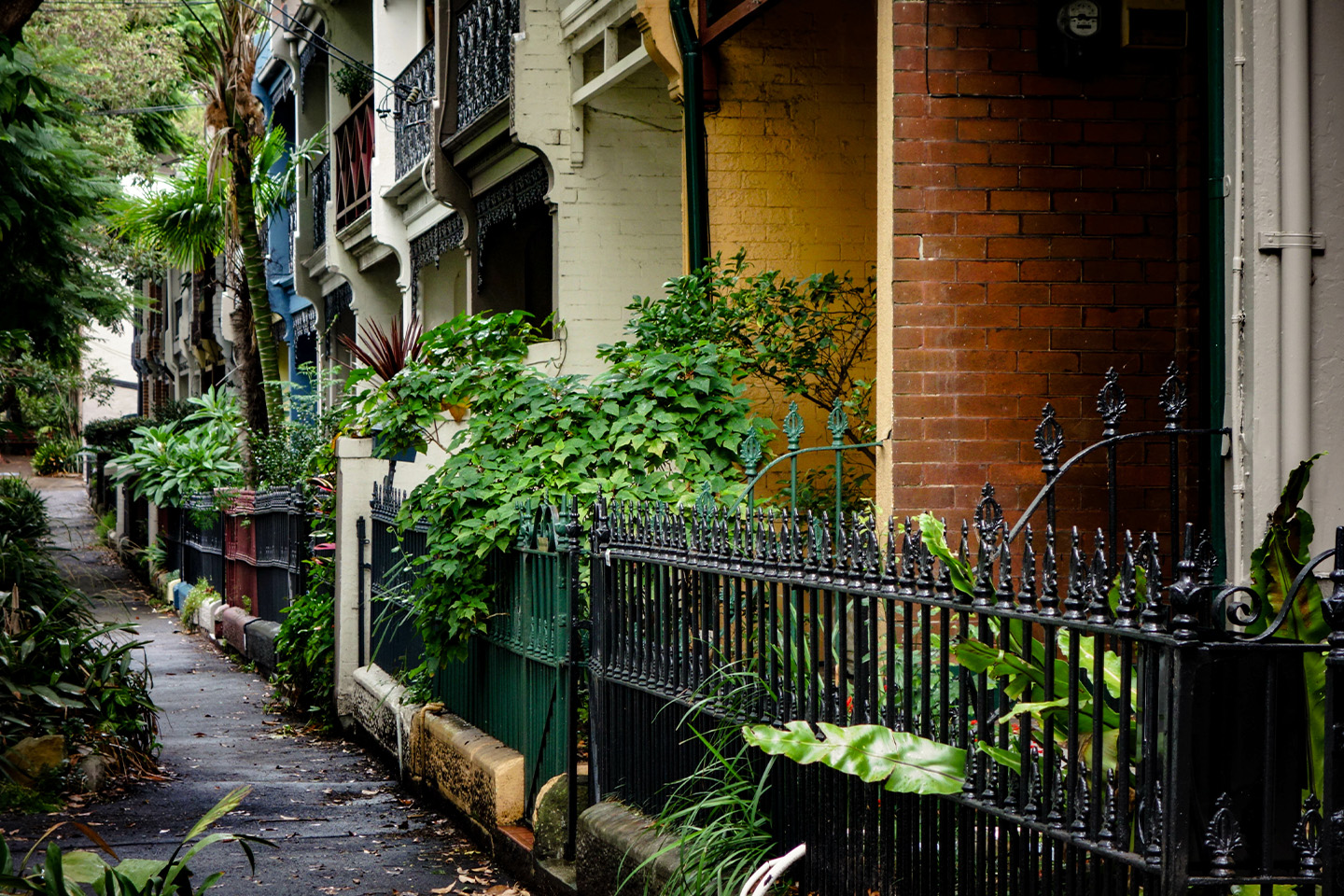 plants-against-buildings