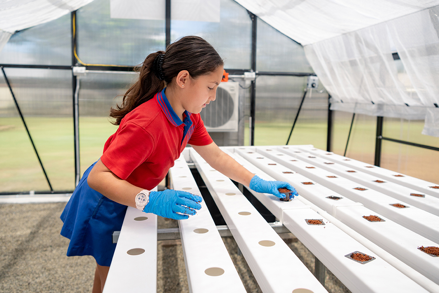 Waterford West student planting seeds in the hydroponic pods. Waterford West student planting seeds in the hydroponic pods.
