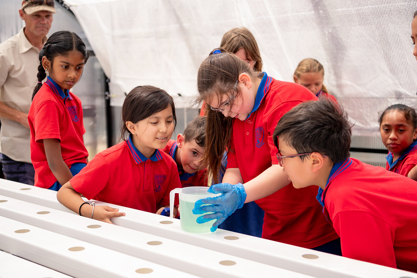 Students at a Queensland school are growing vegetables using a greenhouse installed by Food Ladder and Resimac Group.