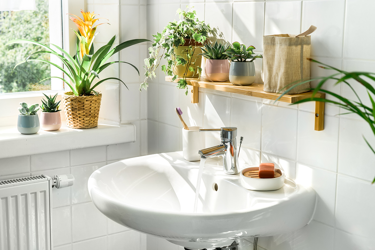 bathroom-home-plants-window