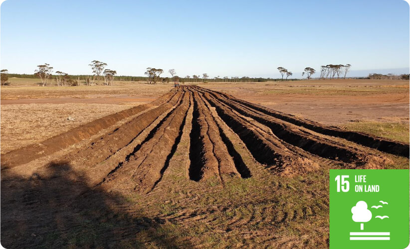 Biodiversity and ecosystem restoration in Victoria and WA