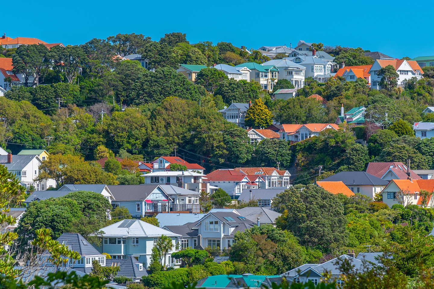Homeowners will be hoping the property downturn is coming to an end, but there is plenty to unfold in 2023.