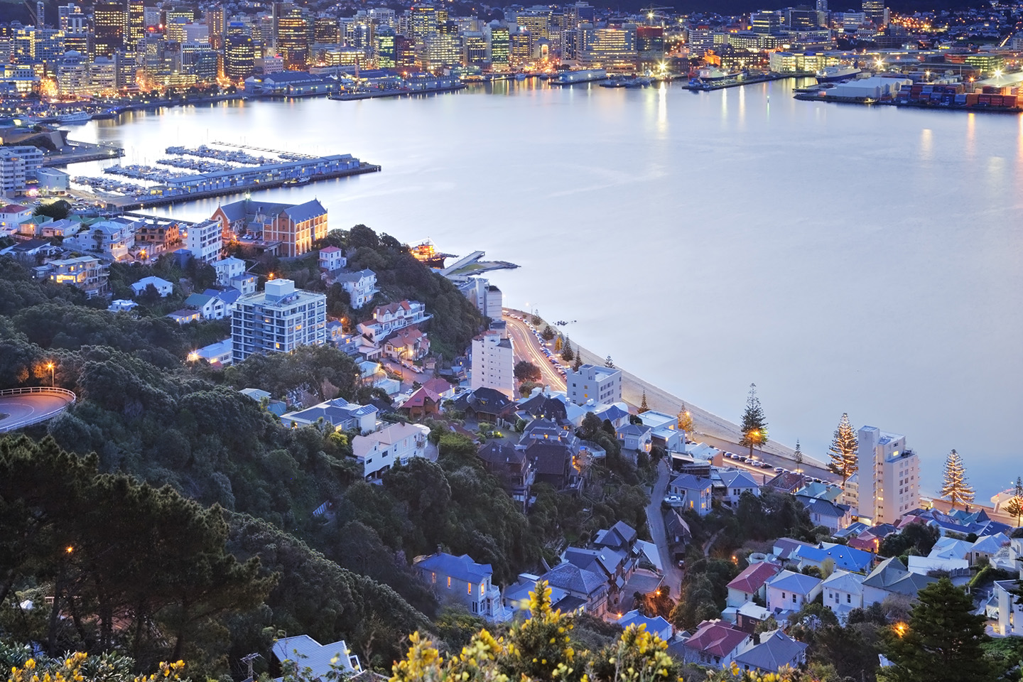 The outlook for property investors in 2021