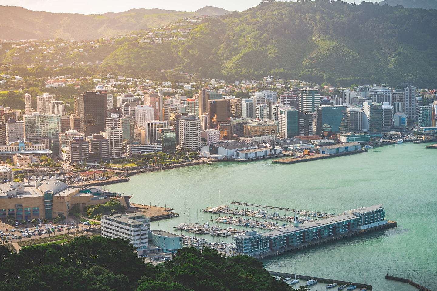 Wellington City property prices have fared particularly well.