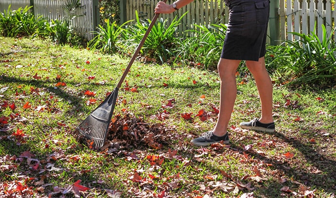 victa-gardening-autumn-leaf-rake-fall