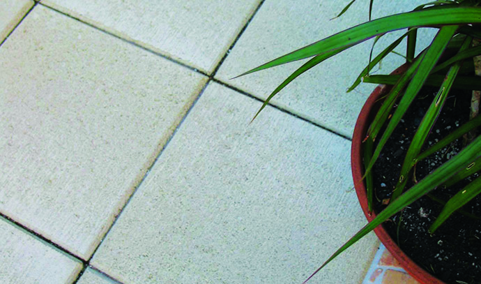 haven-pave-oatmeal-tile-flooring-plant