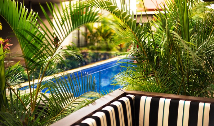 palm-leaves-beach-house-overlooking-pool