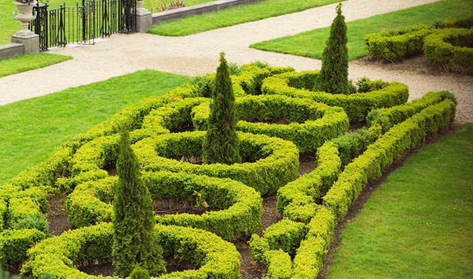 green-wide-lawn-hedges