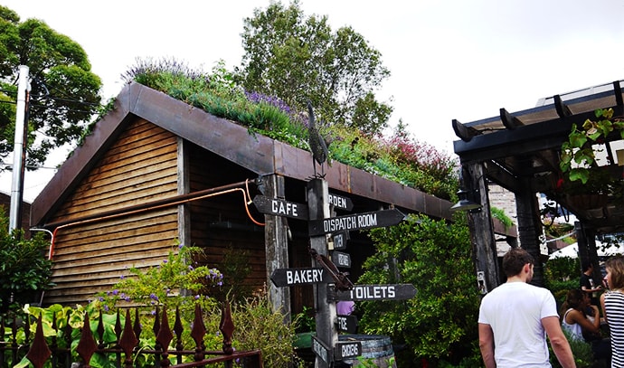 fytogreen-green-roof-wet-plants-flowers-on-roof