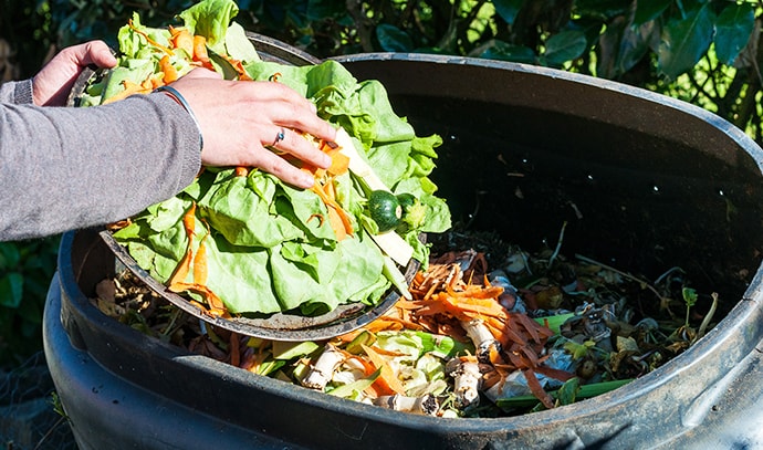 composting-kitchen-waste-food-vegetables-trash-bin