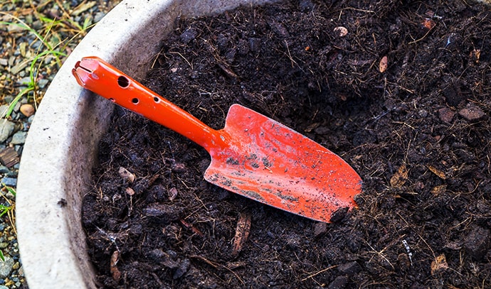 garden-trowel-and-compost-soil-in-tray