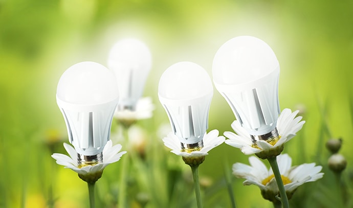 led-light-bulbs-on-white-flower-petals