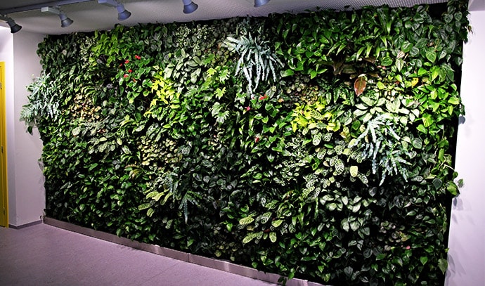 green-wall-vertical-plant-garden-museum-exhibit