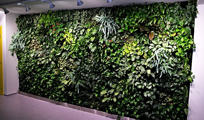 green-wall-vertical-plant-garden-museum-exhibit
