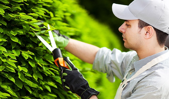 man-gardener-work-cutting-plant-leaves-garden-shears