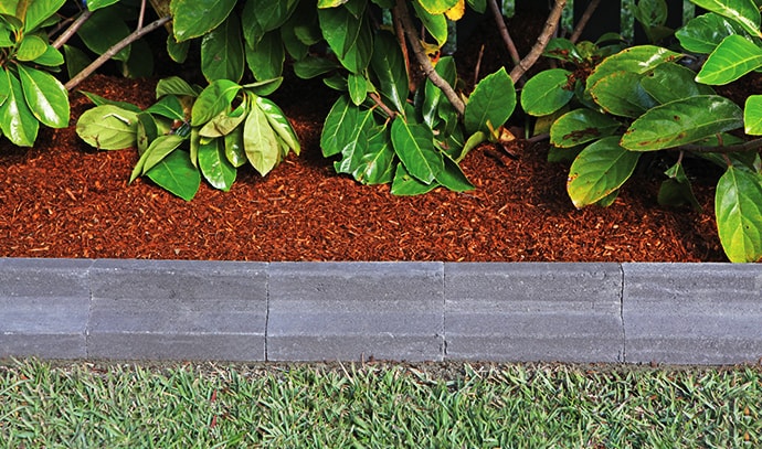 lawn-garden-edge-concrete-soil-plants