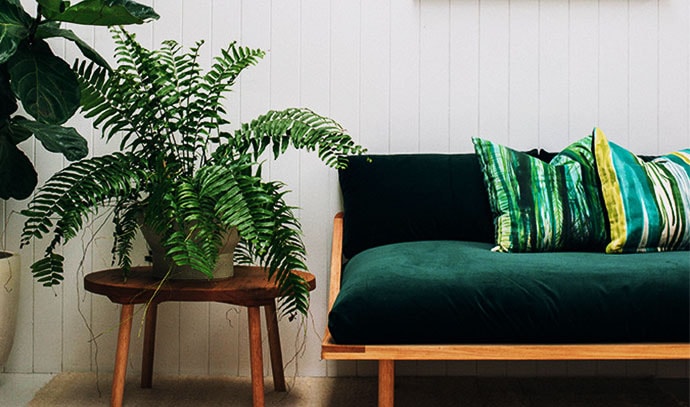 behance-green-loveseat-couch-wooden-wall-fern-plant