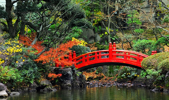 japanese-garden-red-bridge-foliage-water-river-trees-nature