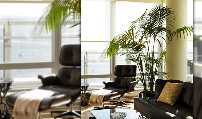 decoist-standout-eames-lounge-chair