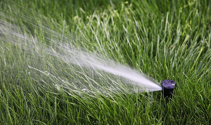 water-sprinkler-lawn-grass-closeup