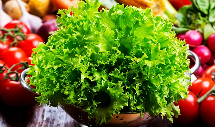 green-lettuce-salad-colander-fresh-vegetables