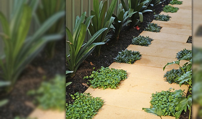 adbri-masonry-side-yard-pathway-side-passage-garden