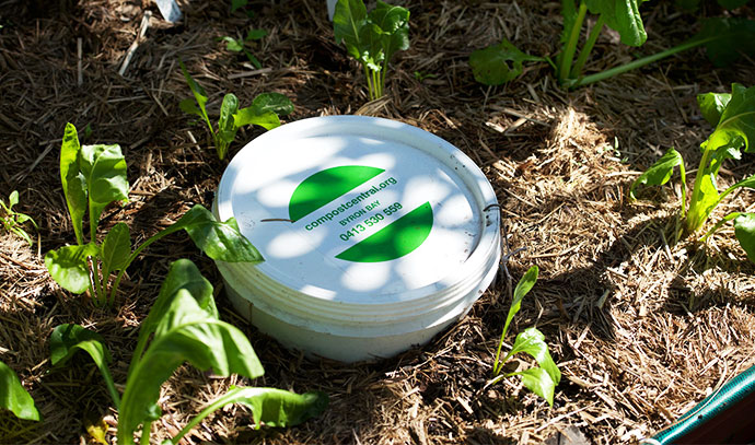 compost-central-sebastian-alessandra-compost-bin-planted-soil