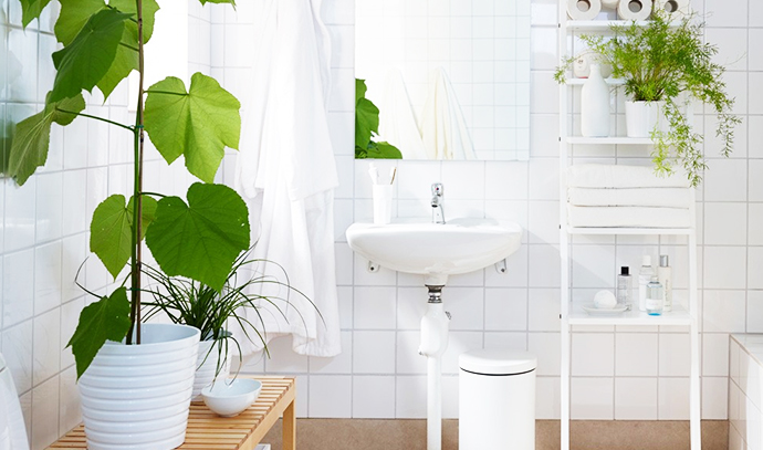 interior-gardens-ikea-house-plants-bathroom-indoors