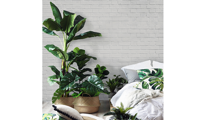 pillow-talk-indoor-plants-bedside-monteras-fiddle