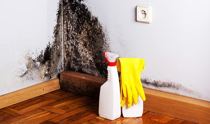 mould-mildew-cleaning-corner-wall-living-room-home