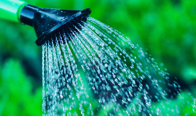 greenacres-water-sprinkler-shower-lawn