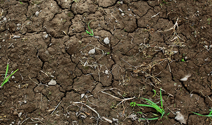 greenacres-backyard-soil-poor-dry