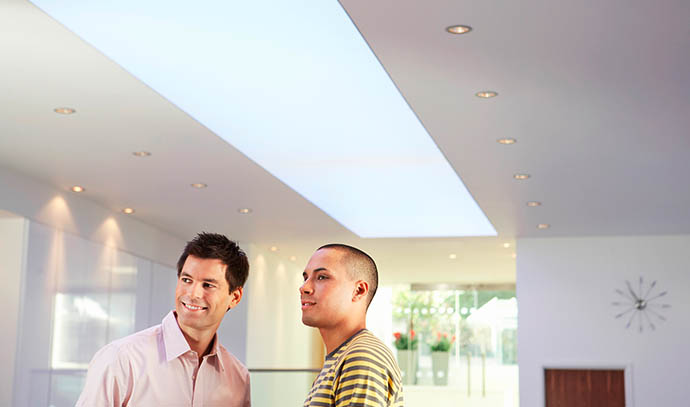 businessmen-office-ceiling-interior-design-skylights