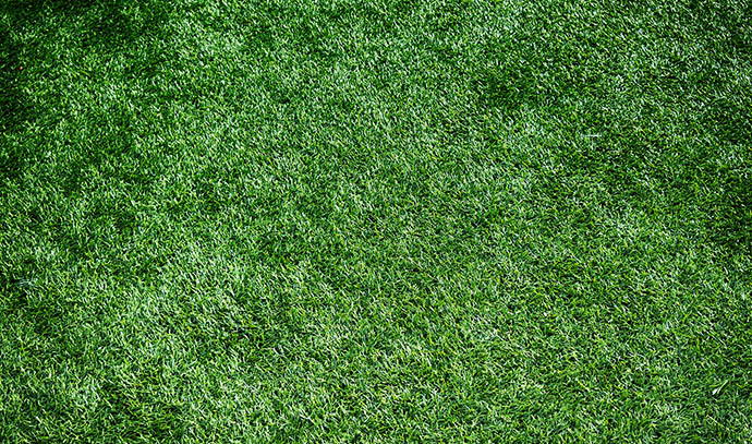 evergreen-synthetic-grass-fine-grass-artificial-lawn