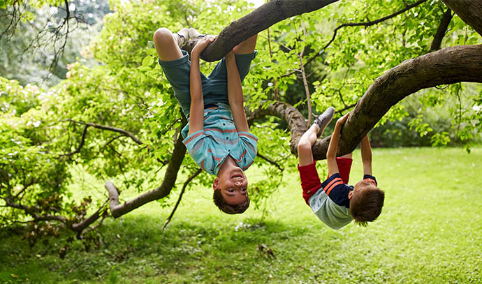 friendship-childhood-leisure-people-concept-two-happy-kids-friends-hanging-upside-down-tree-having-fun-summer-park