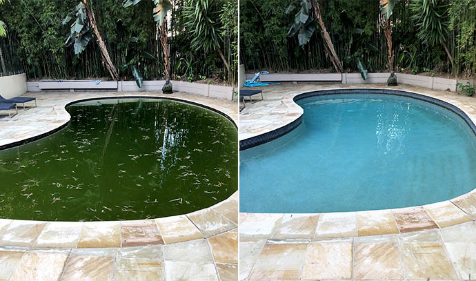 swimart-green-pool-before-after