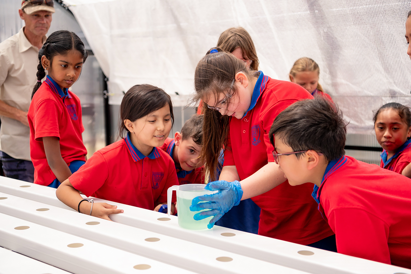 Students at a Queensland school are growing vegetables using a greenhouse installed by Food Ladder and Resimac Group. Students at a Queensland school are growing vegetables using a greenhouse installed by Food Ladder and Resimac Group.